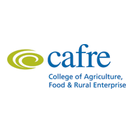 Useful description for screen readers