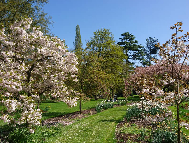 Reading Harris Garden