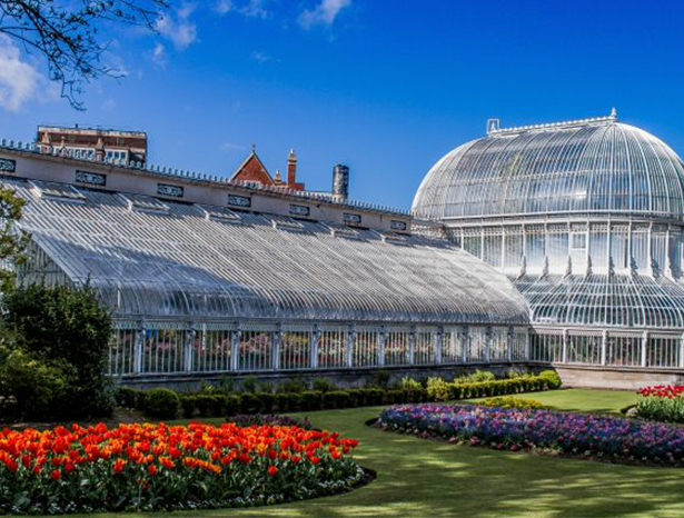 Belfast Botanic Gardens