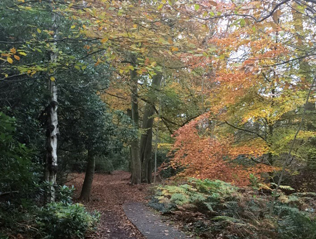 Lancaster Woodland Trail