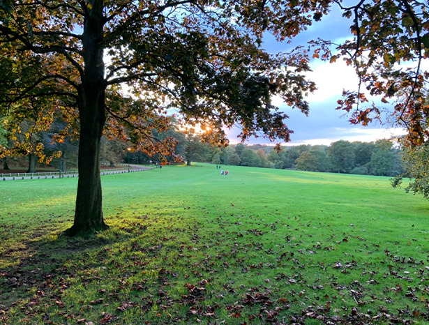 Earlham Park, Norwich