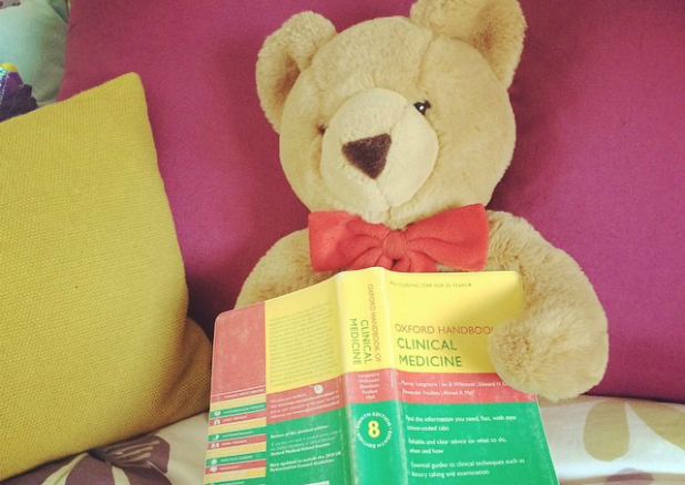 Bear studying medicine Bear studying medicine
