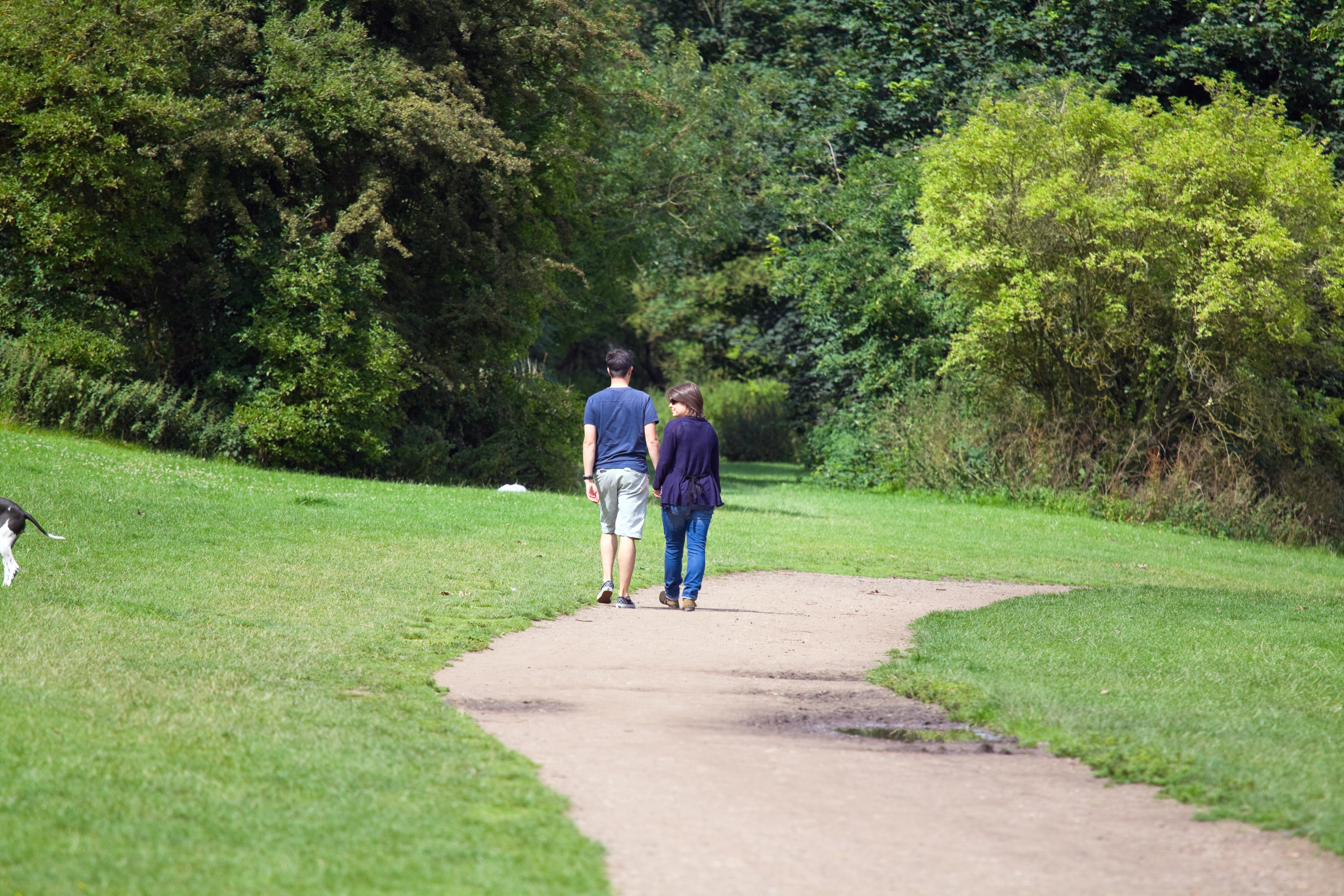 Derby city guide darley park Derby city guide darley park