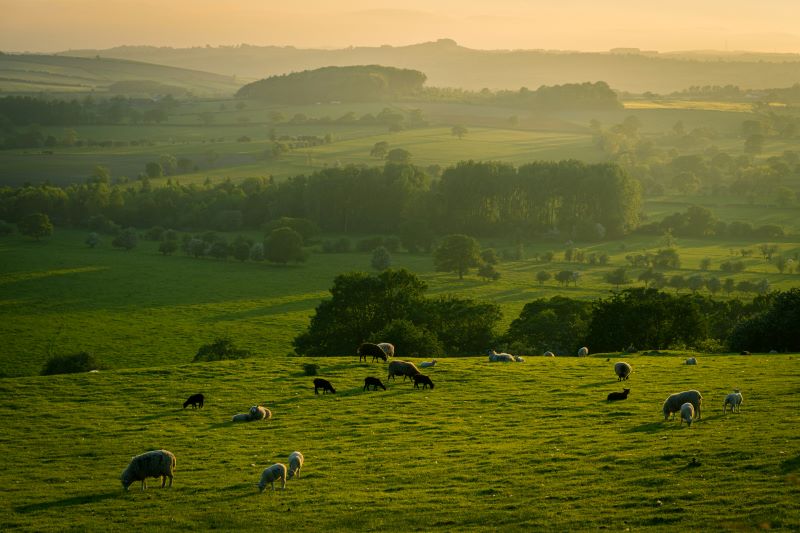 Yorkshire Dales landscape