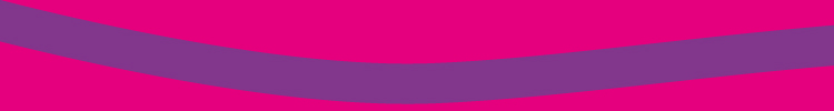 Student Finance England-branded pink strip of colour