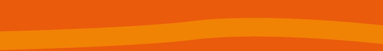 Student Finance England-branded orange strip of colour