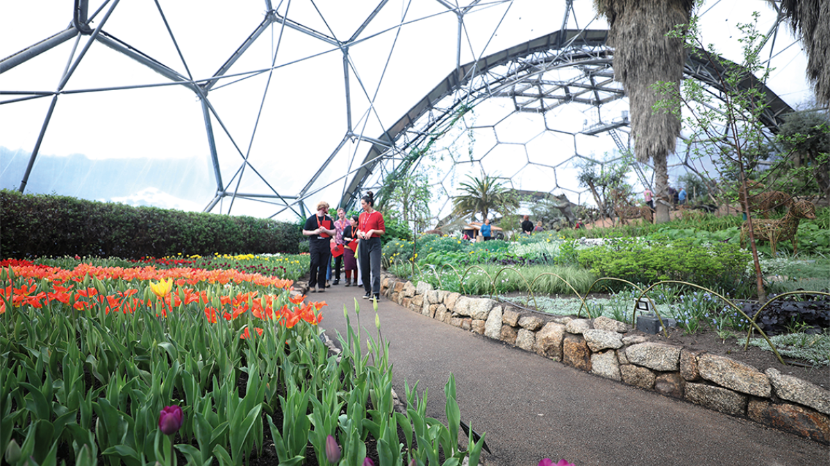 Study at the world renowned Eden Project and create a CV that will put you ahead of the competition. 